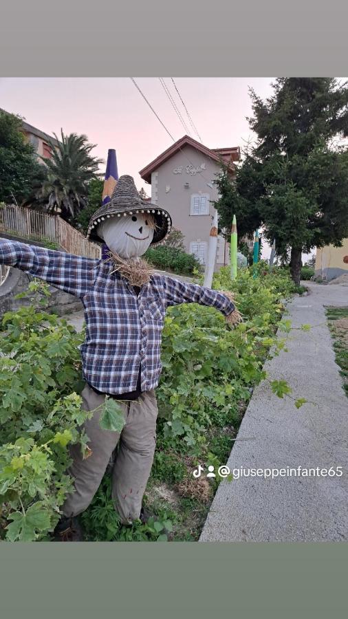 皮埃蒙特Il Ceppo Sui Sentieri Per Amalfi住宿加早餐旅馆 外观 照片